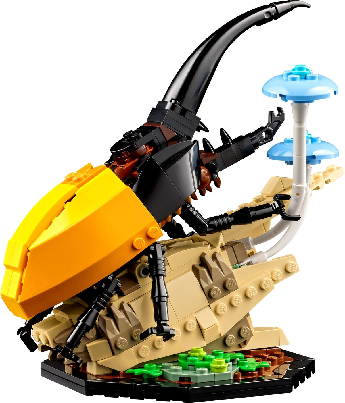LEGO Ideas 21342 Die Insektensammlung