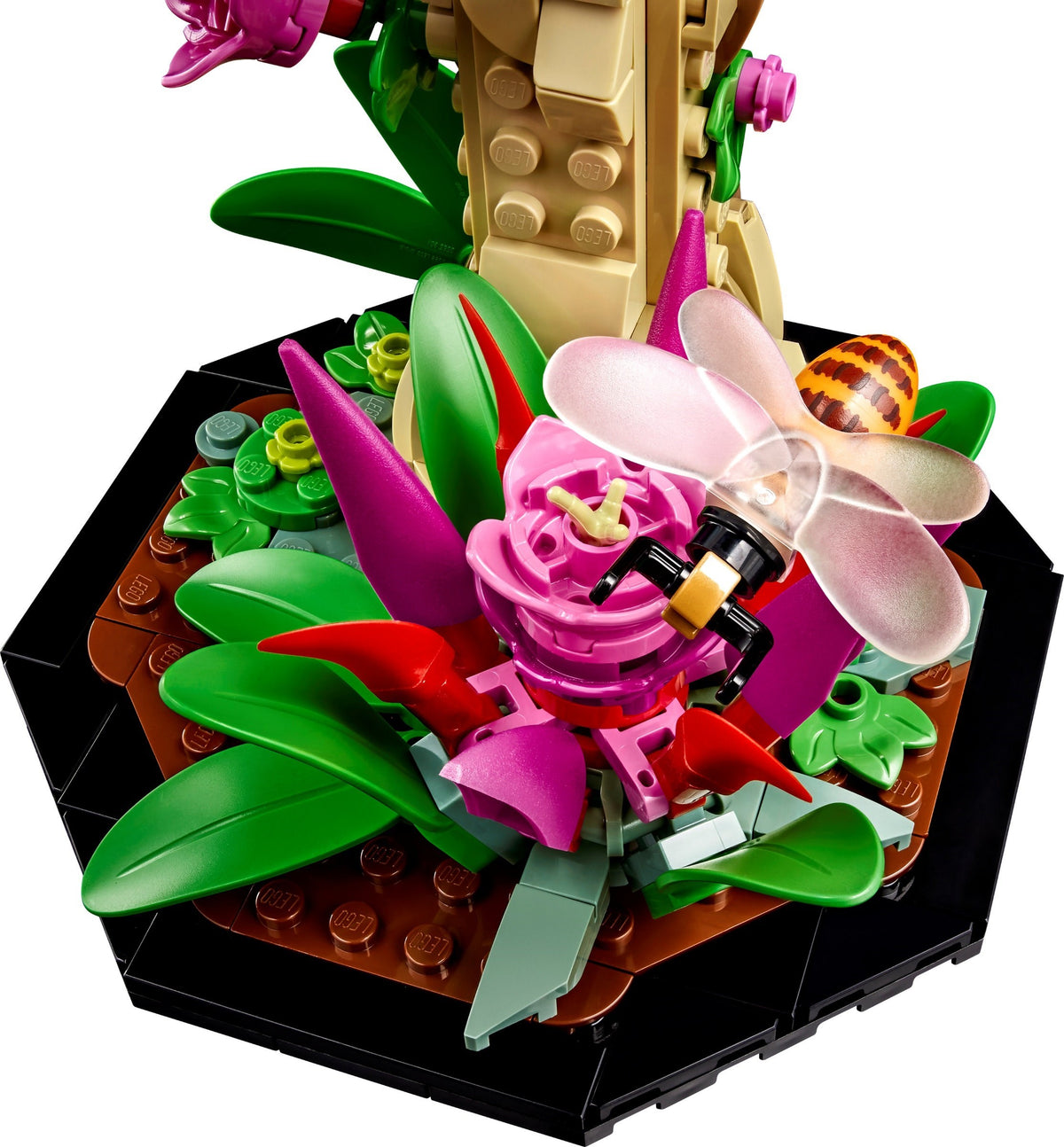 LEGO Ideas 21342 Die Insektensammlung