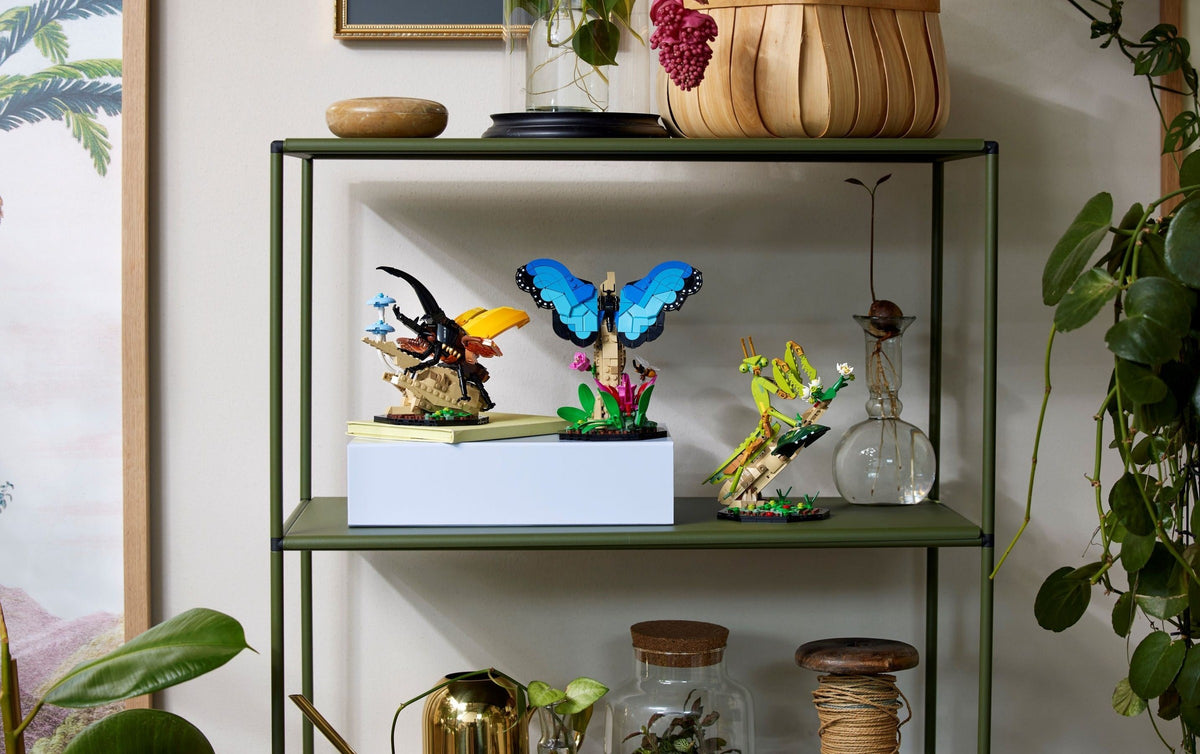 LEGO Ideas 21342 Die Insektensammlung