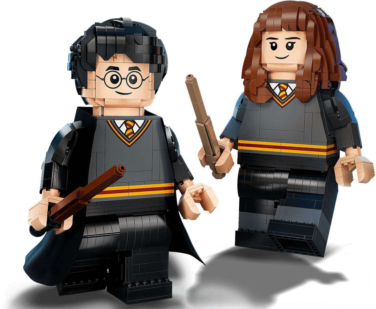 LEGO Harry Potter 76393 Harry Potter &amp; Hermine Granger