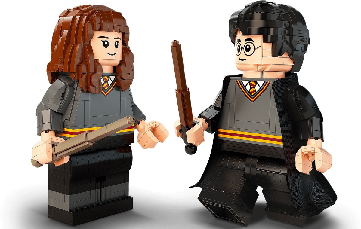 LEGO Harry Potter 76393 Harry Potter &amp; Hermine Granger