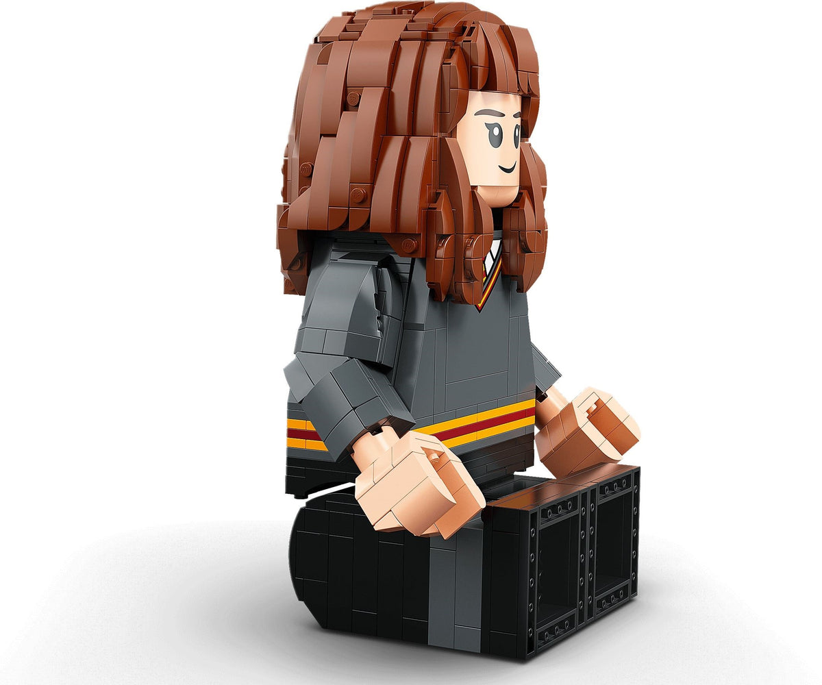 LEGO Harry Potter 76393 Harry Potter &amp; Hermine Granger