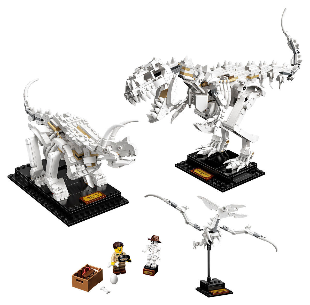 LEGO Ideas 21320 Dinosaurier-Fossilien