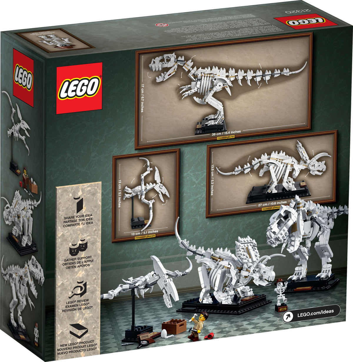 LEGO Ideas 21320 Dinosaurier-Fossilien