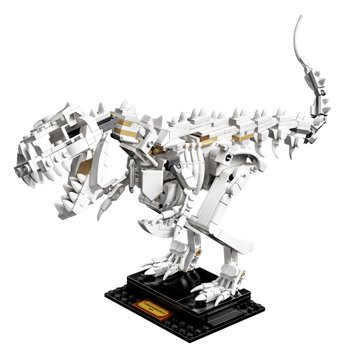 LEGO Ideas 21320 Dinosaurier-Fossilien