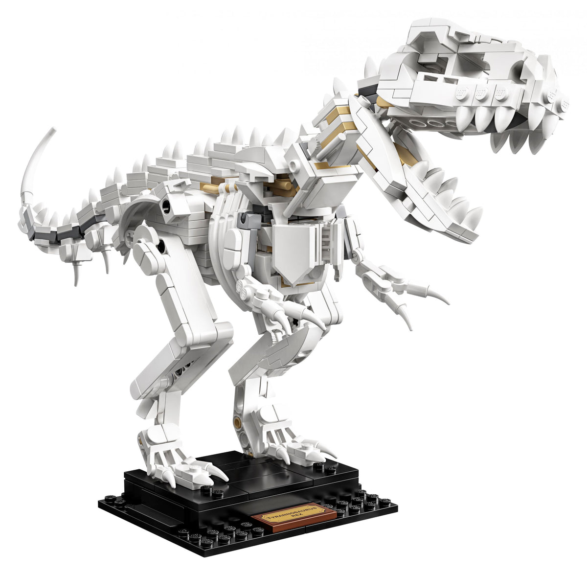 LEGO Ideas 21320 Dinosaurier-Fossilien